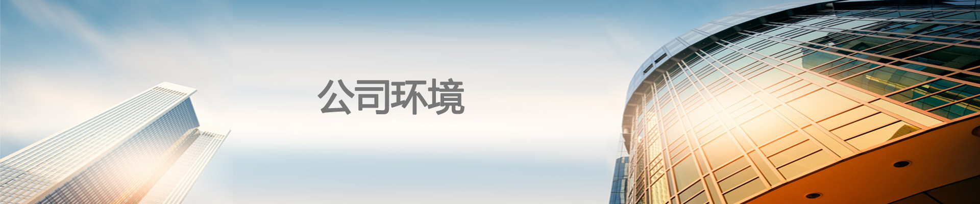 业务范围